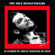 Che Guevara - True Revolutionary